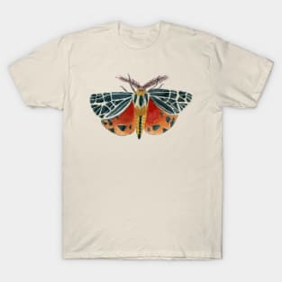 Watercolor Virgin Tiger Moth T-Shirt